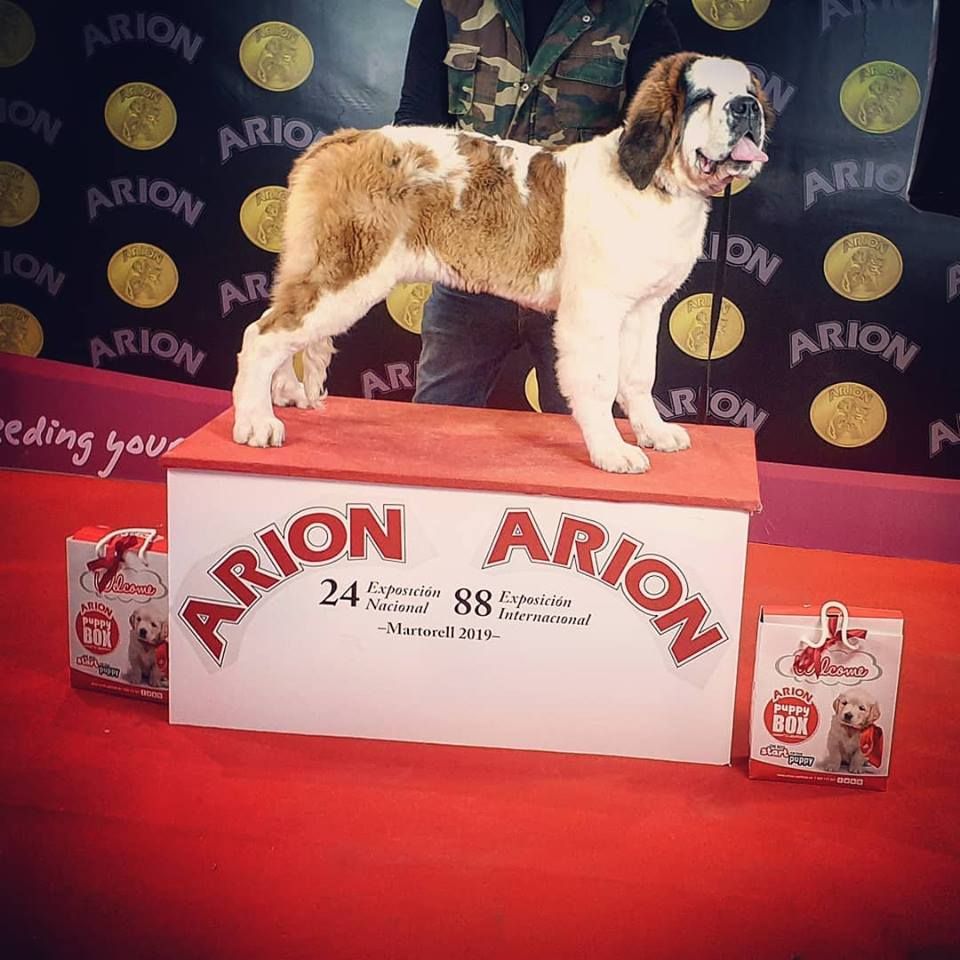 de Can Font - XXIV national dog show 