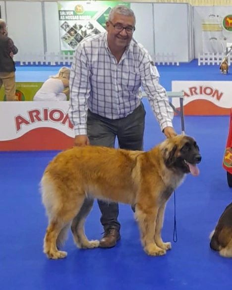 de Can Font - 139 INTERENATIONAL DOG SHOW SANTAREM