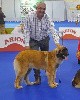  - 139 INTERENATIONAL DOG SHOW SANTAREM