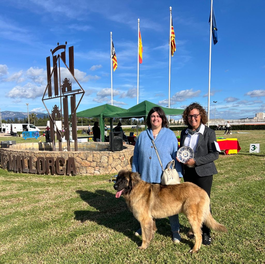 de Can Font - DOG SHOW INTERNATIONAL BALEARES