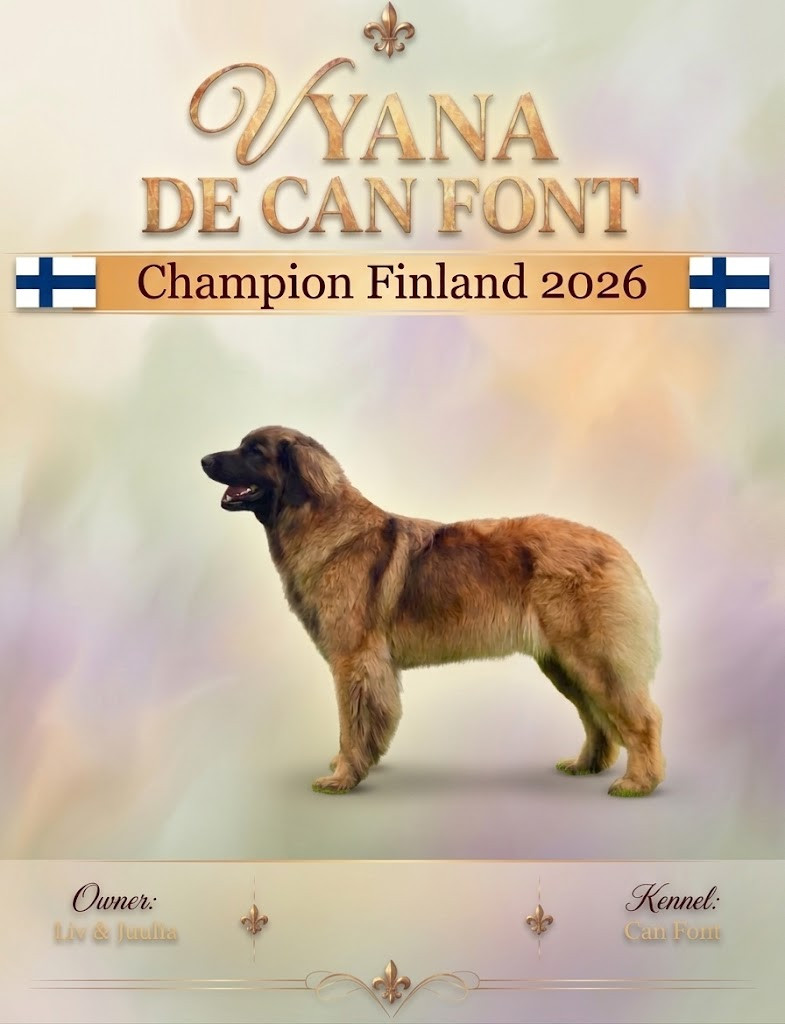 de Can Font - New Champion Finland