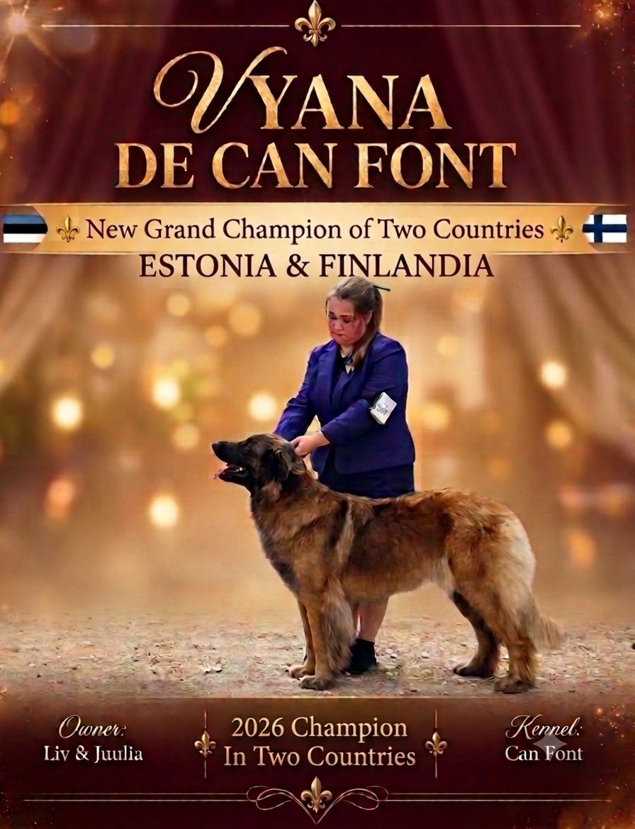 de Can Font - NEWSSSS : VYANA MUTI CH