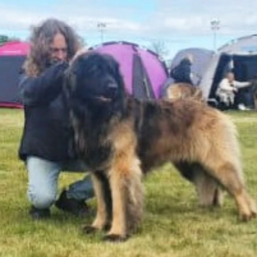 de Can Font - Dog Show Skara Nordic Sweeden